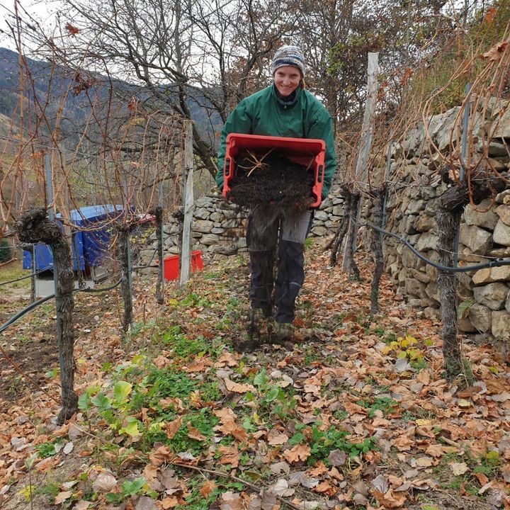 Compost spreading