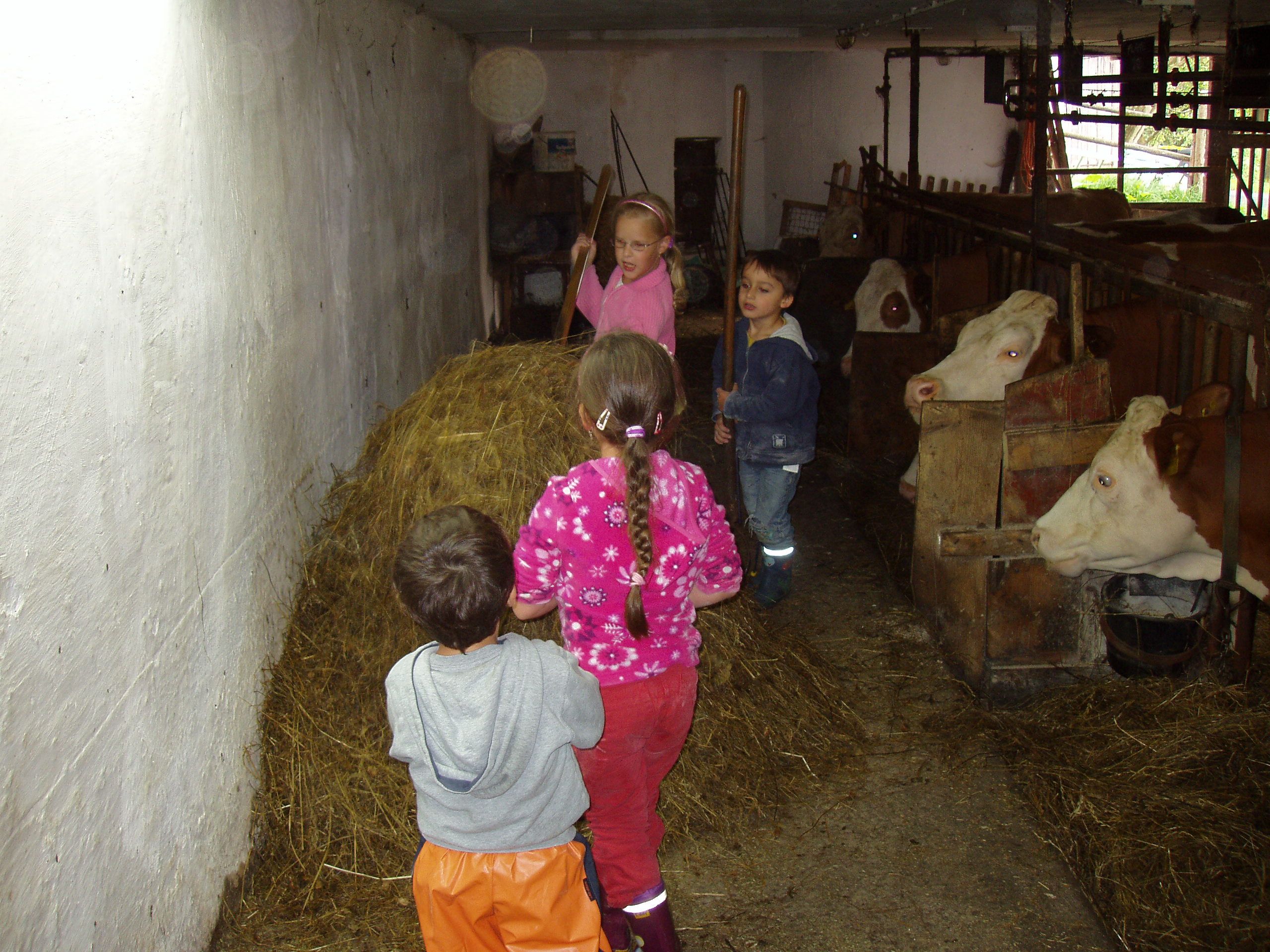 Farm Waira