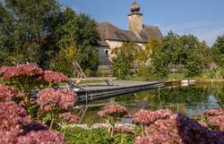Bedroom with vaulted ceiling, wooden floor, bed, armchair, chest of drawers and fur rug.