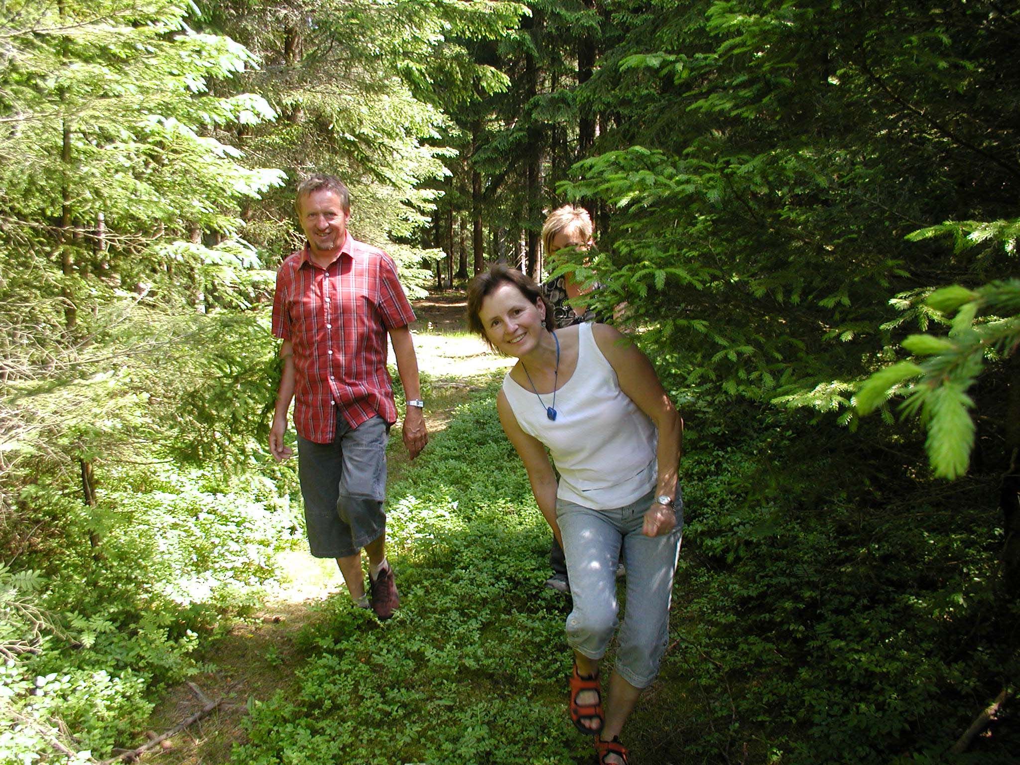 forest_hike_2