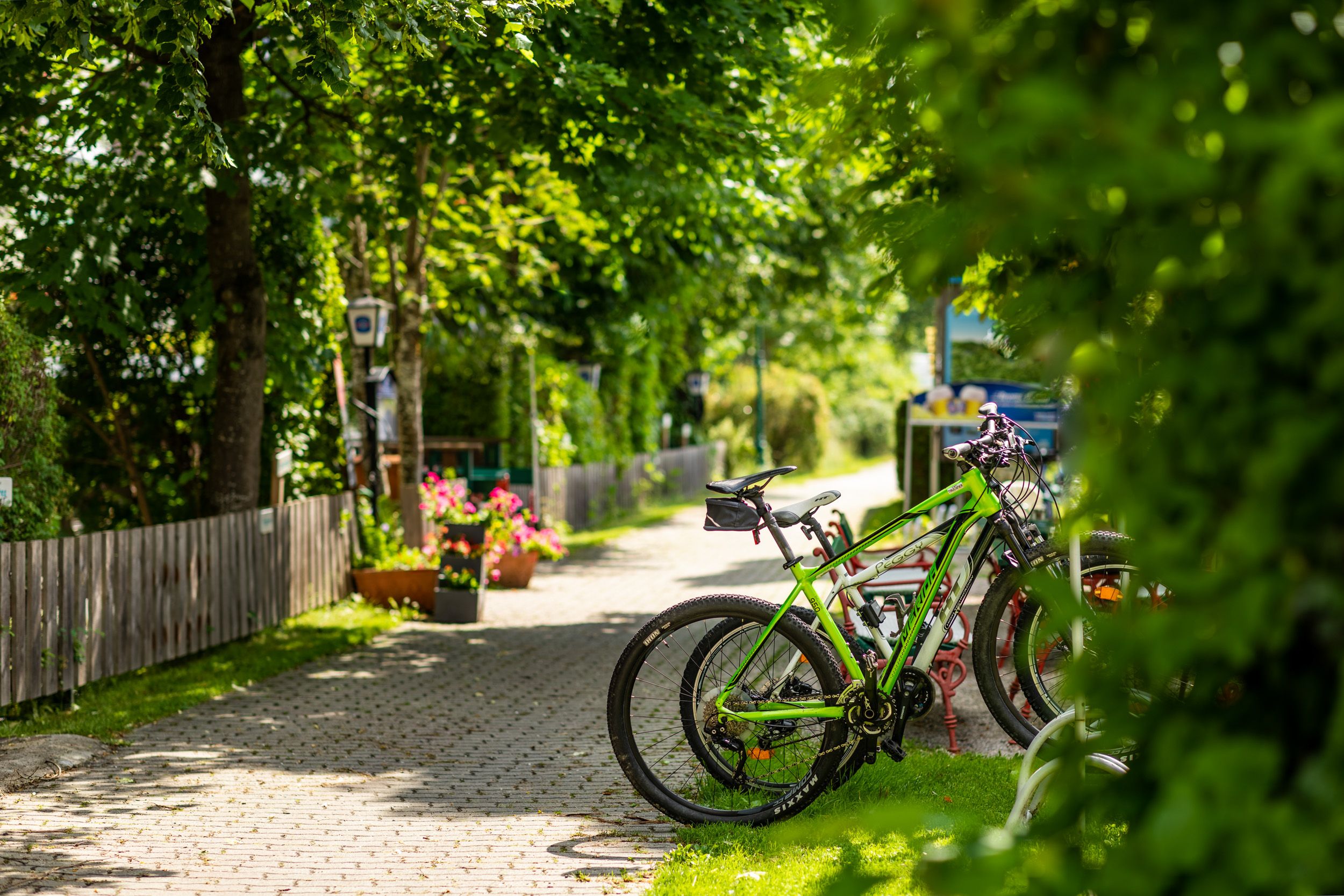 Bicycles parked in a bicycle parking lot at an inn, surrounded by green trees and flowers.