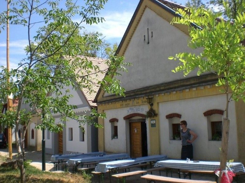 Traditional wine cellars with wooden doors and benches outside.