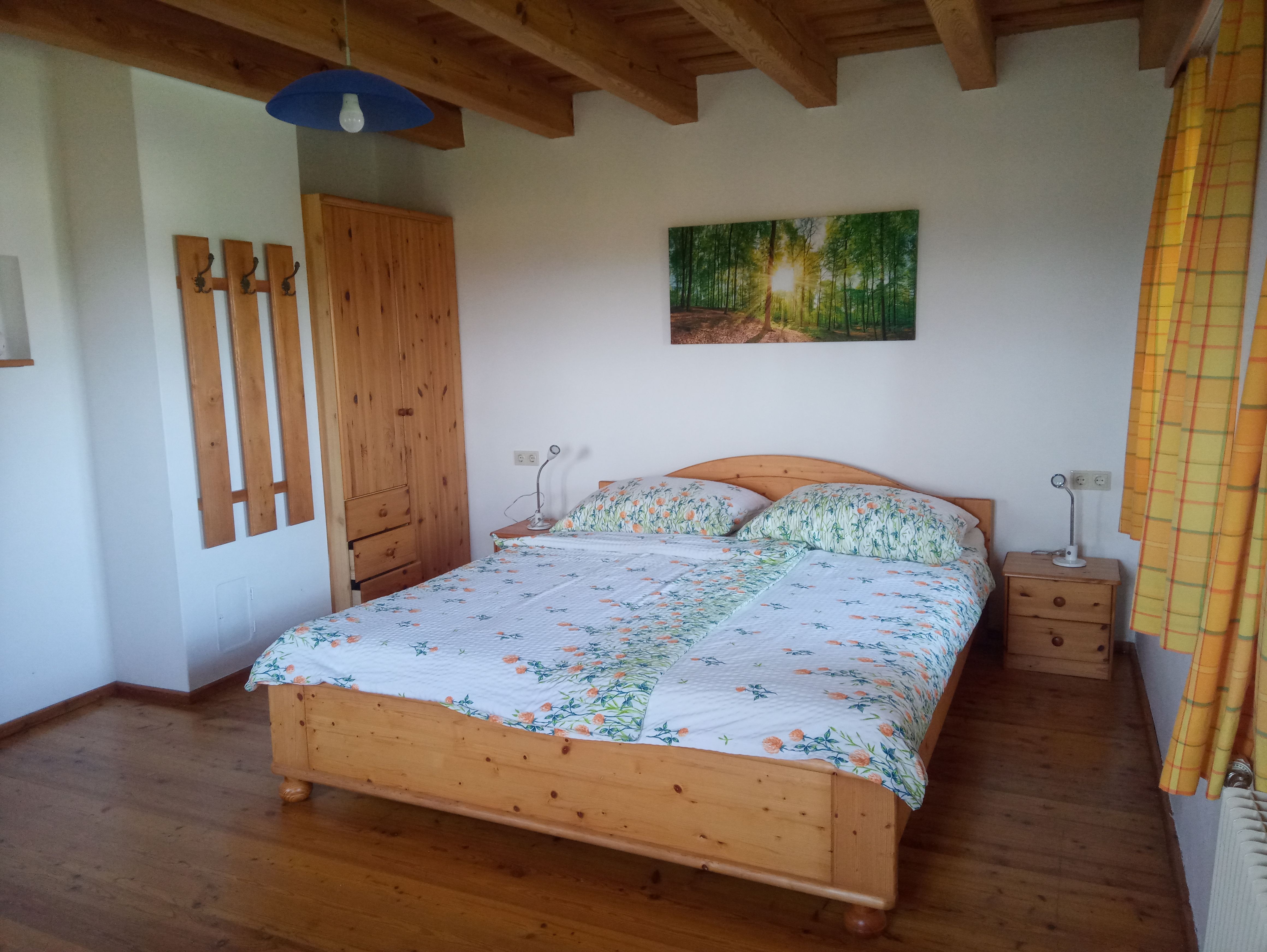 Bedroom with wooden bed, bedside tables, closet and mural of a forest.
