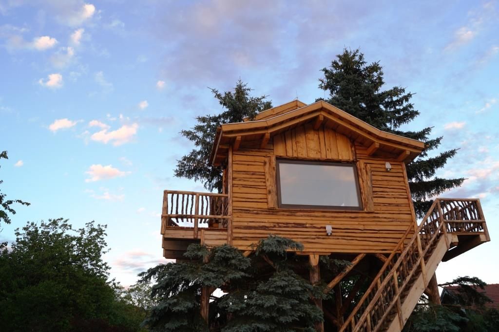 Wooden tree house with small balcony