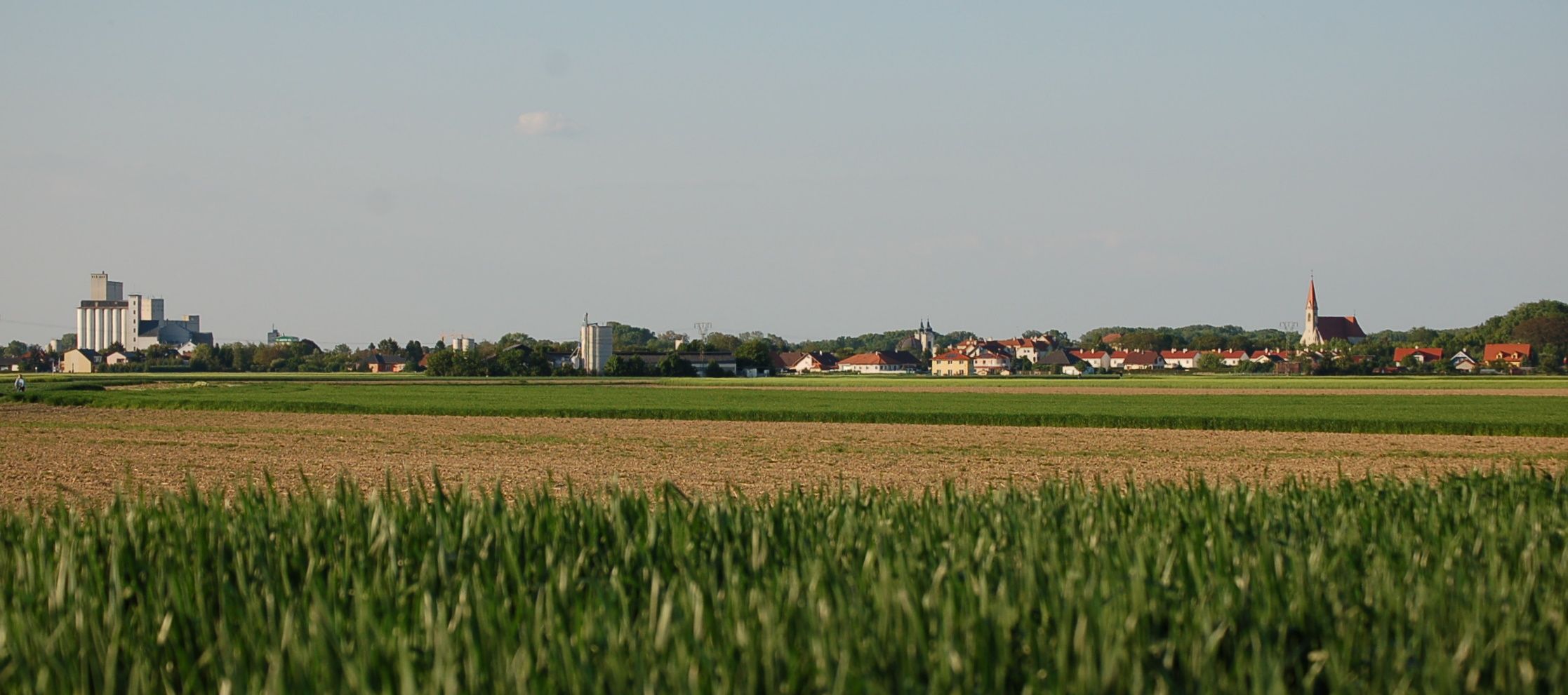 Panorama of Lichtenwörth with fields in the foreground and buildings in the background.