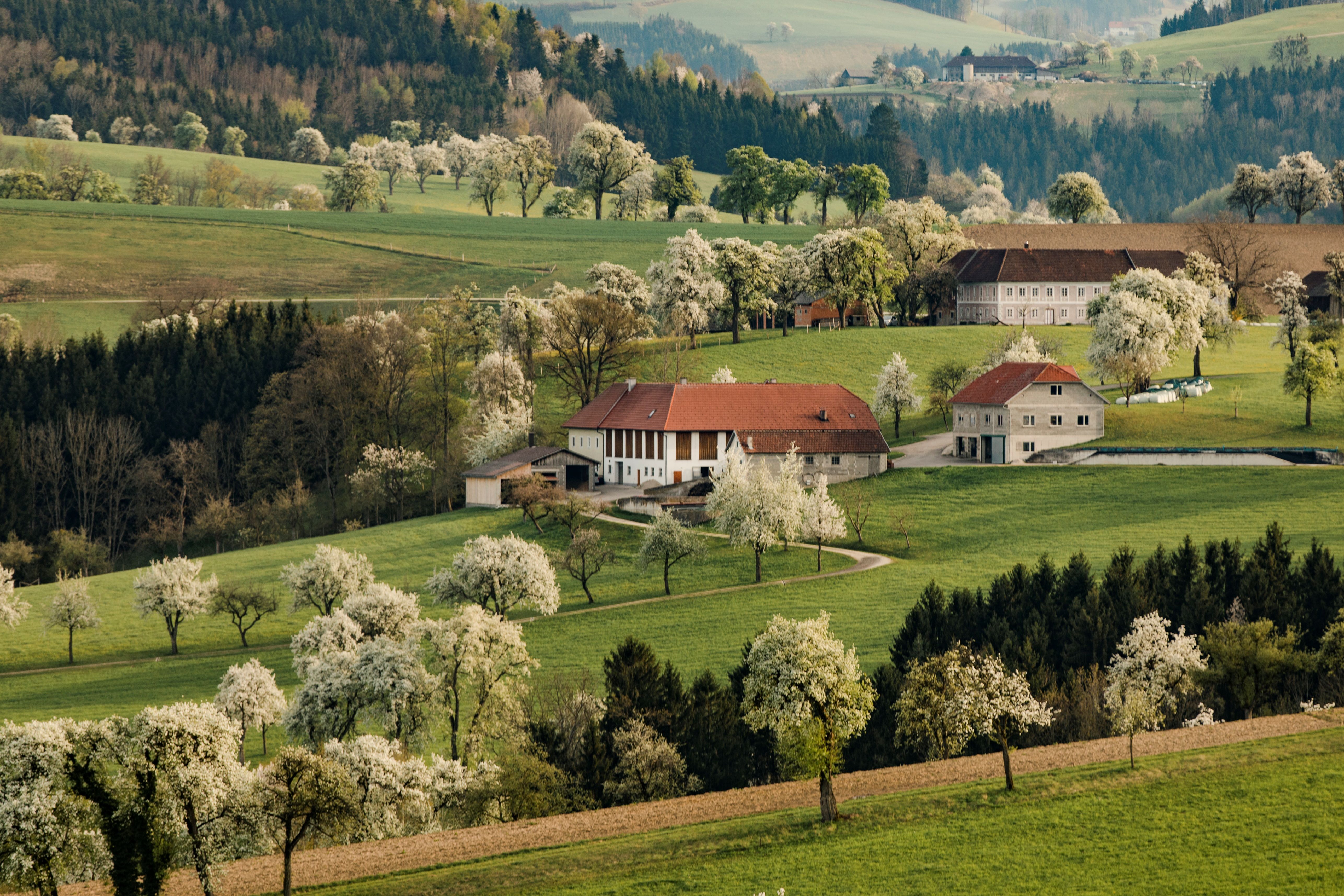Karl Lammerhuber View Trail