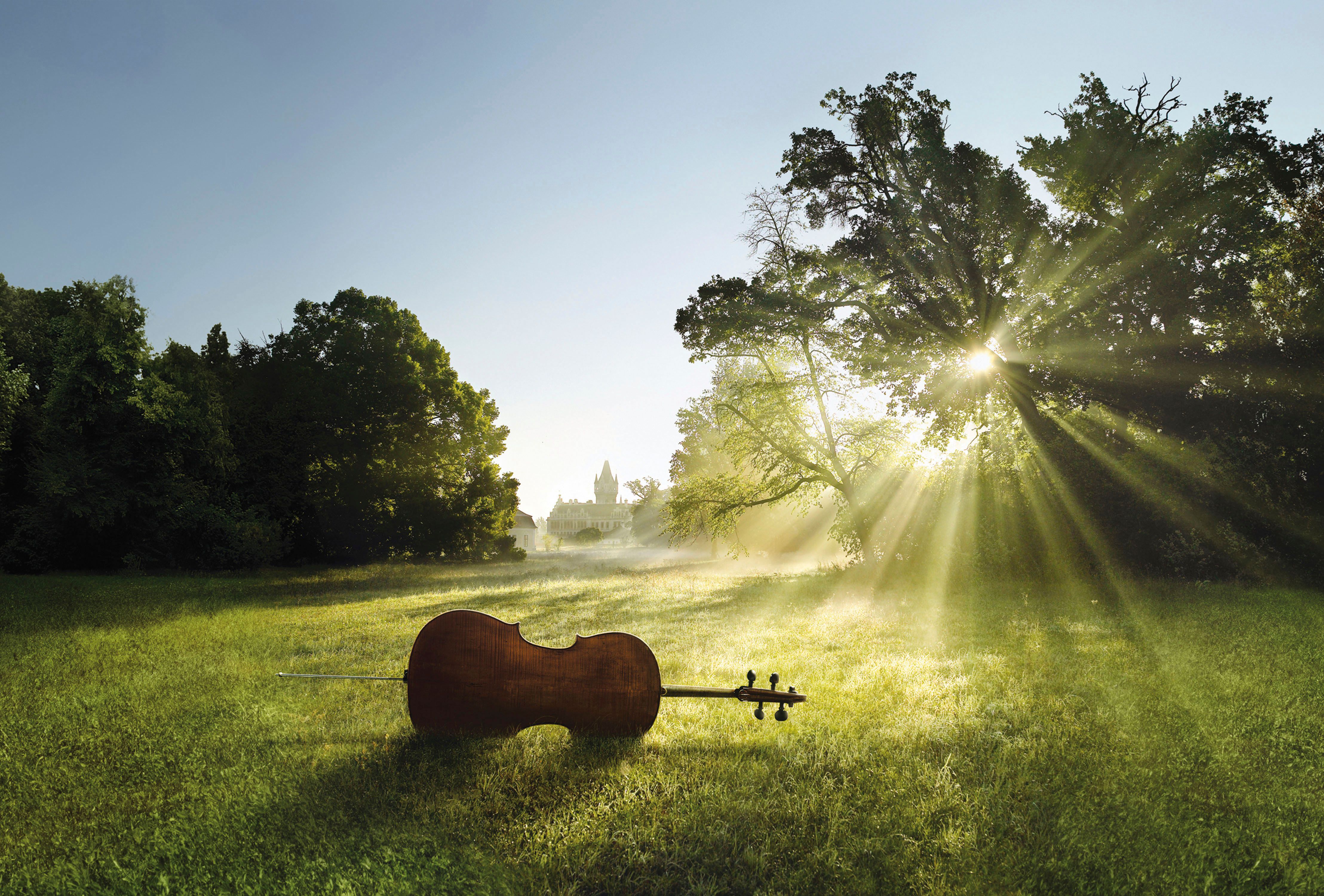A cello lies on a meadow in the sunlight, a castle can be seen in the background.