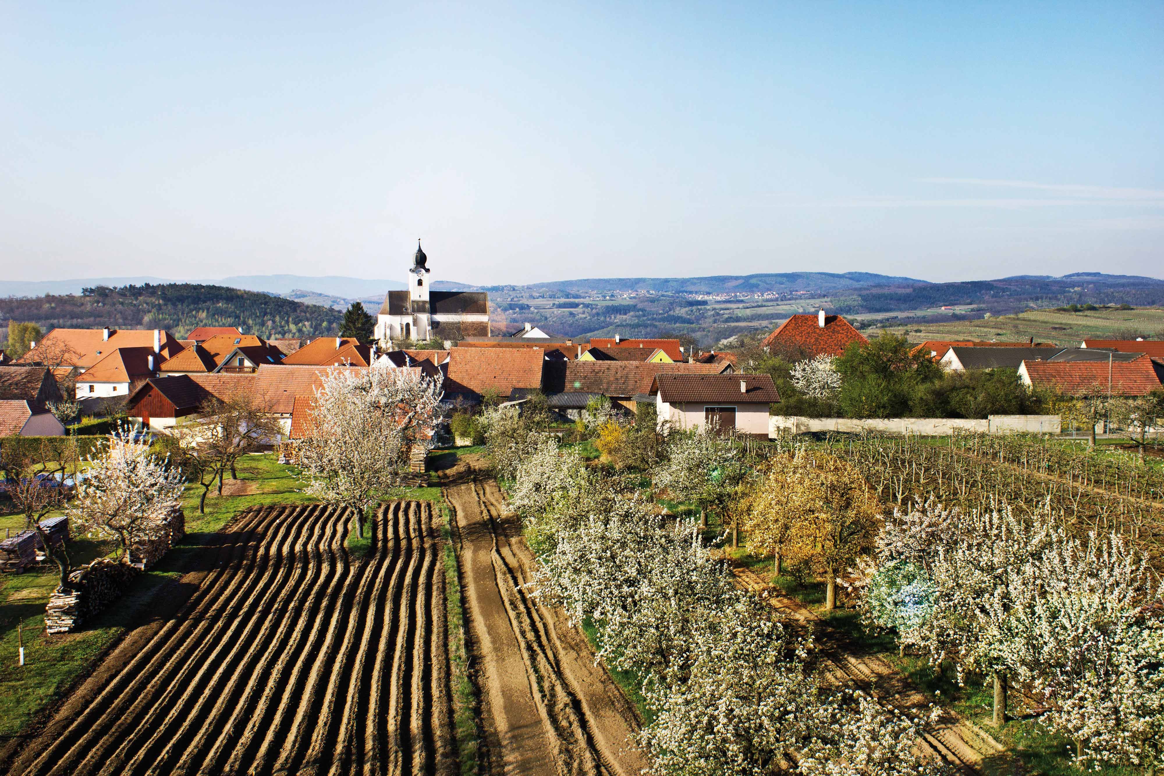 Rural scene with church, blossoming trees and fields in Stratzing.
