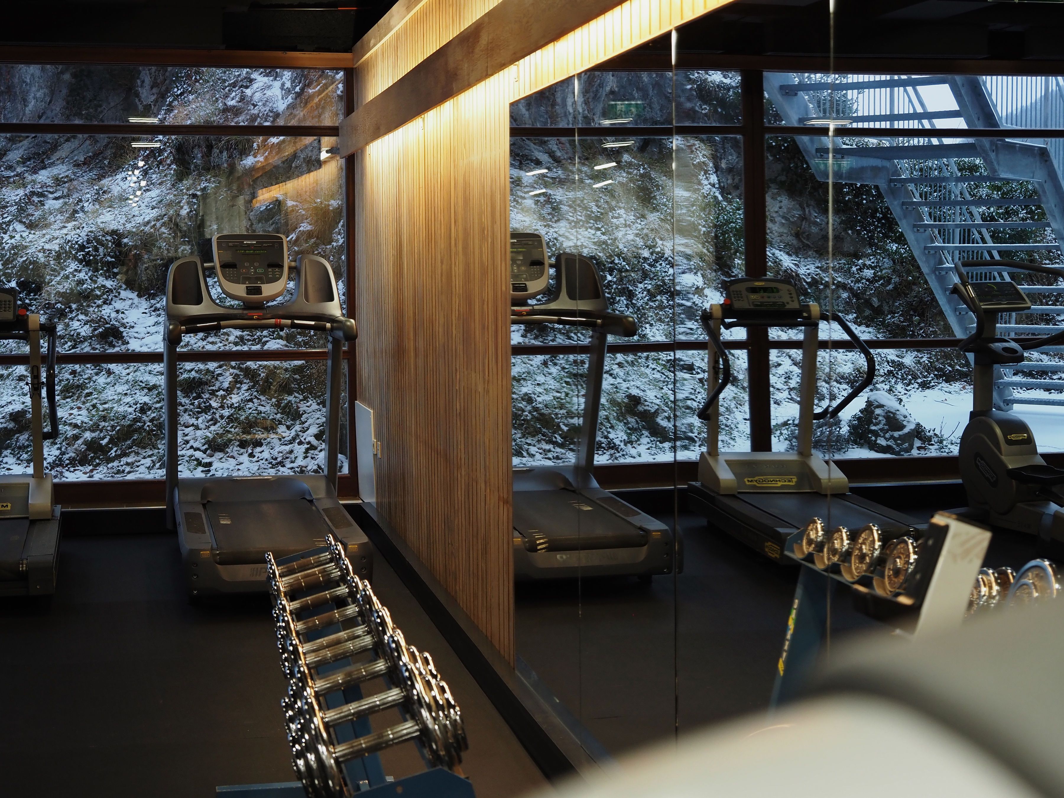 Fitness room with treadmills and weights, windows with a view of the snowy landscape.
