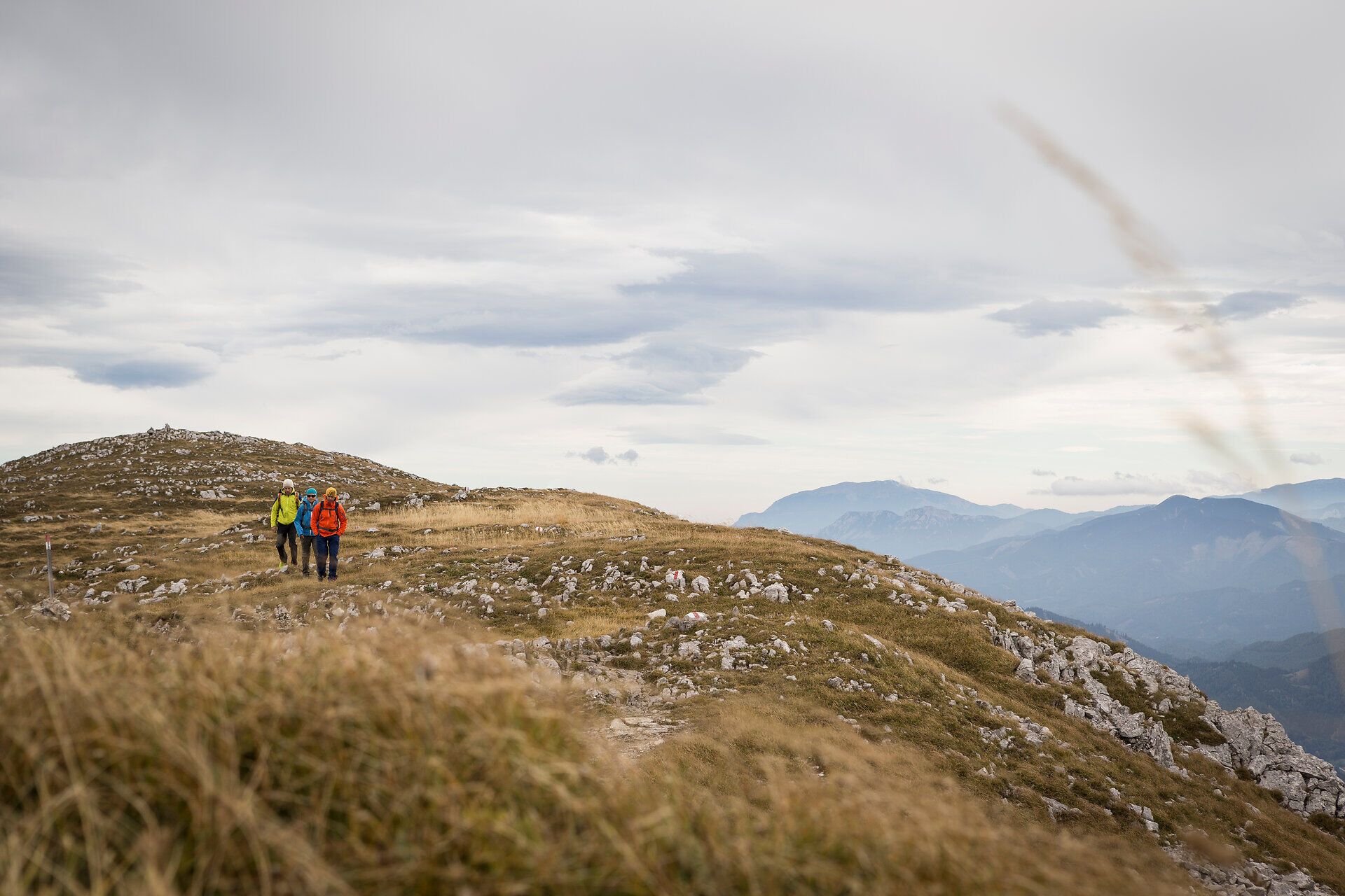 Hikers enjoy the fresh mountain air and the breathtaking views of the rolling hills and rugged peaks. Surrounded by a picturesque landscape where the golden grass sways gently in the wind, nature invites you to enjoy unforgettable experiences.