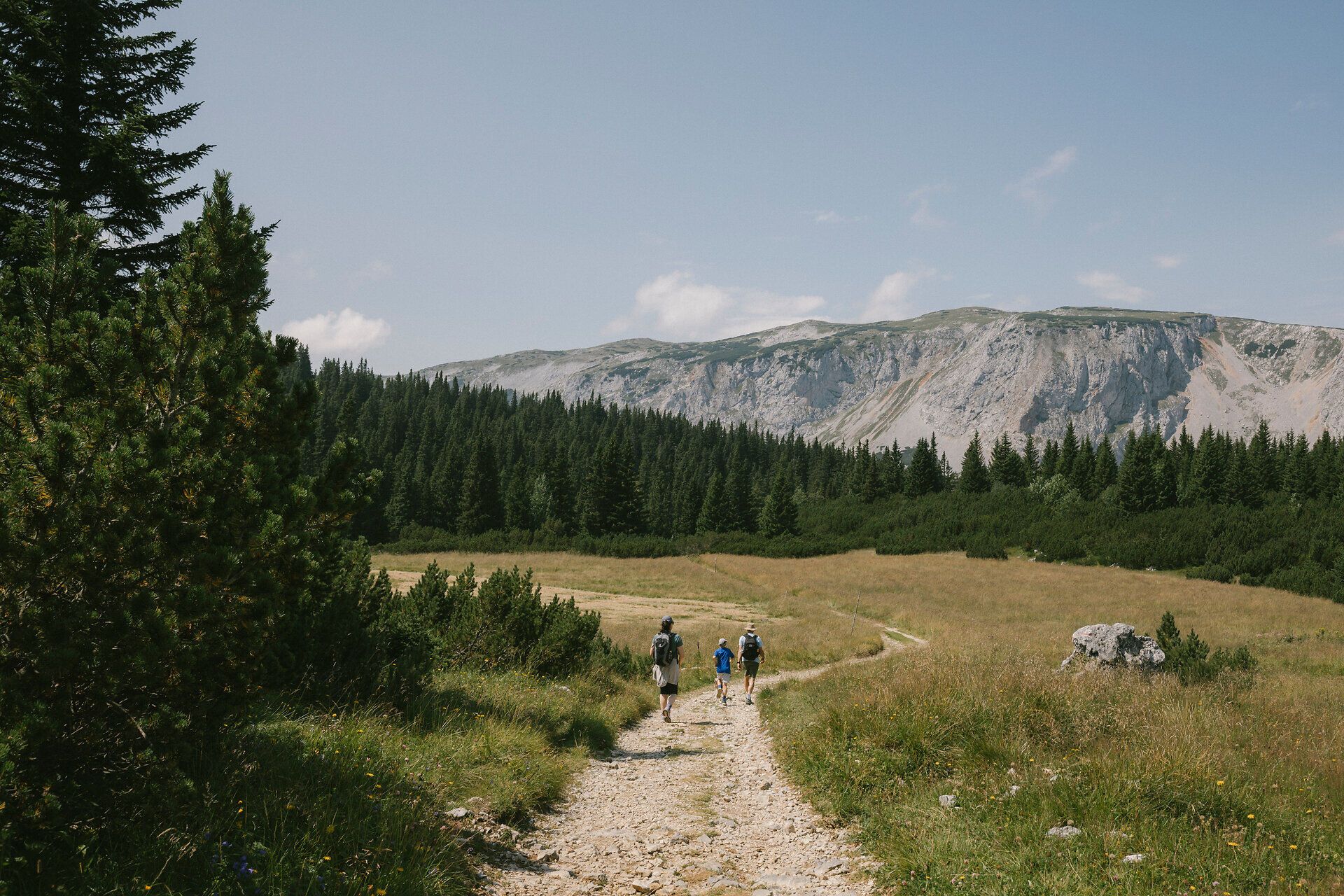 Hikers on a trail through the alpine landscape of the Rax