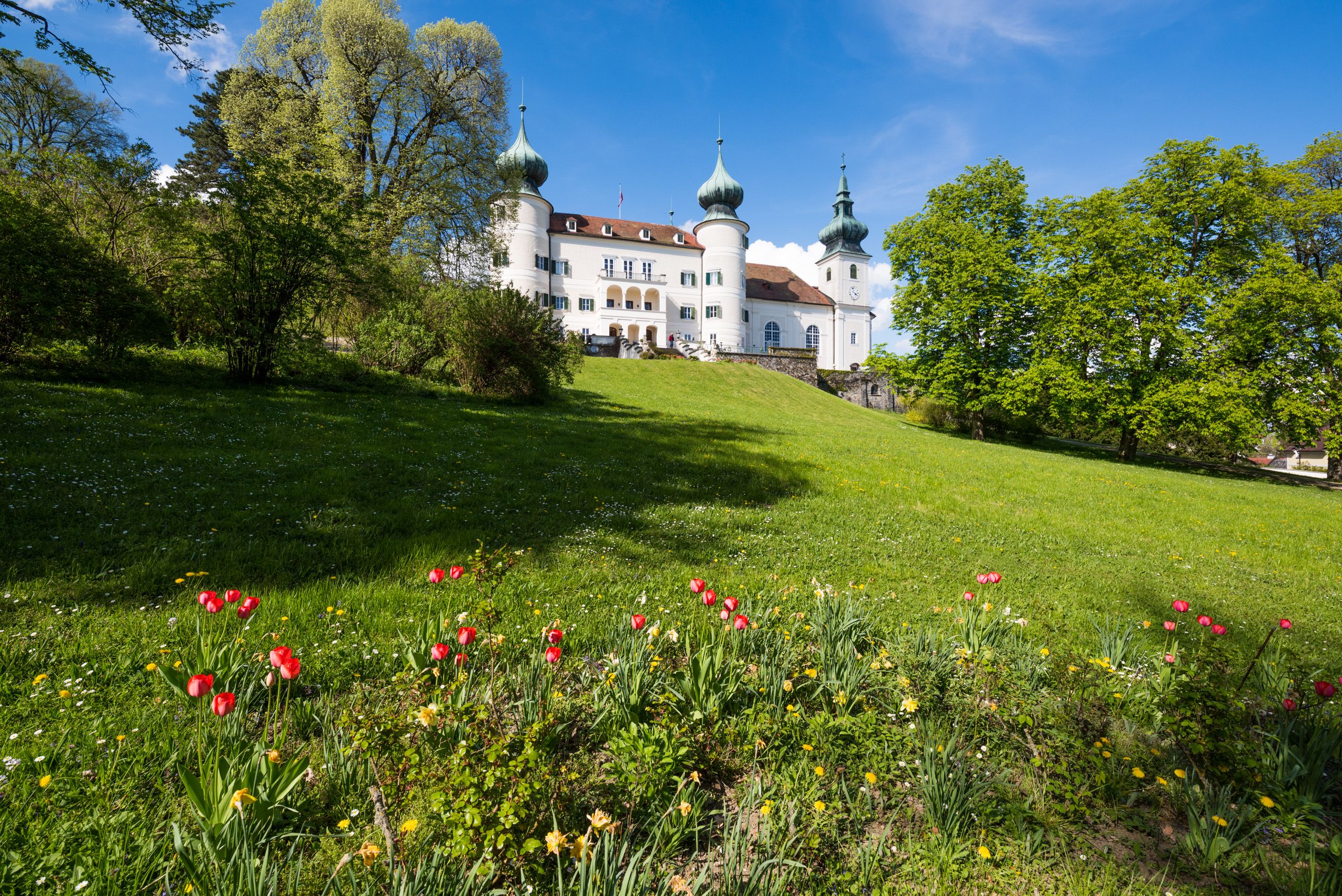 Artstetten Castle with blooming tulips in the foreground and blue sky in the background.