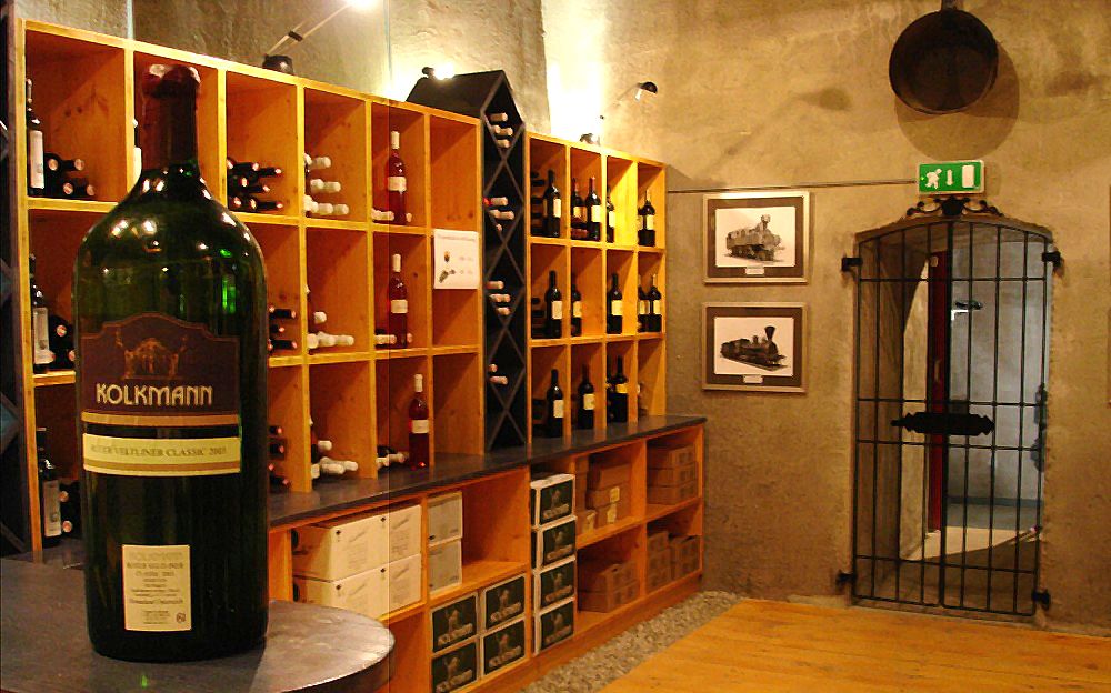 Wine cellar with shelves full of wine bottles and a large bottle in the foreground.