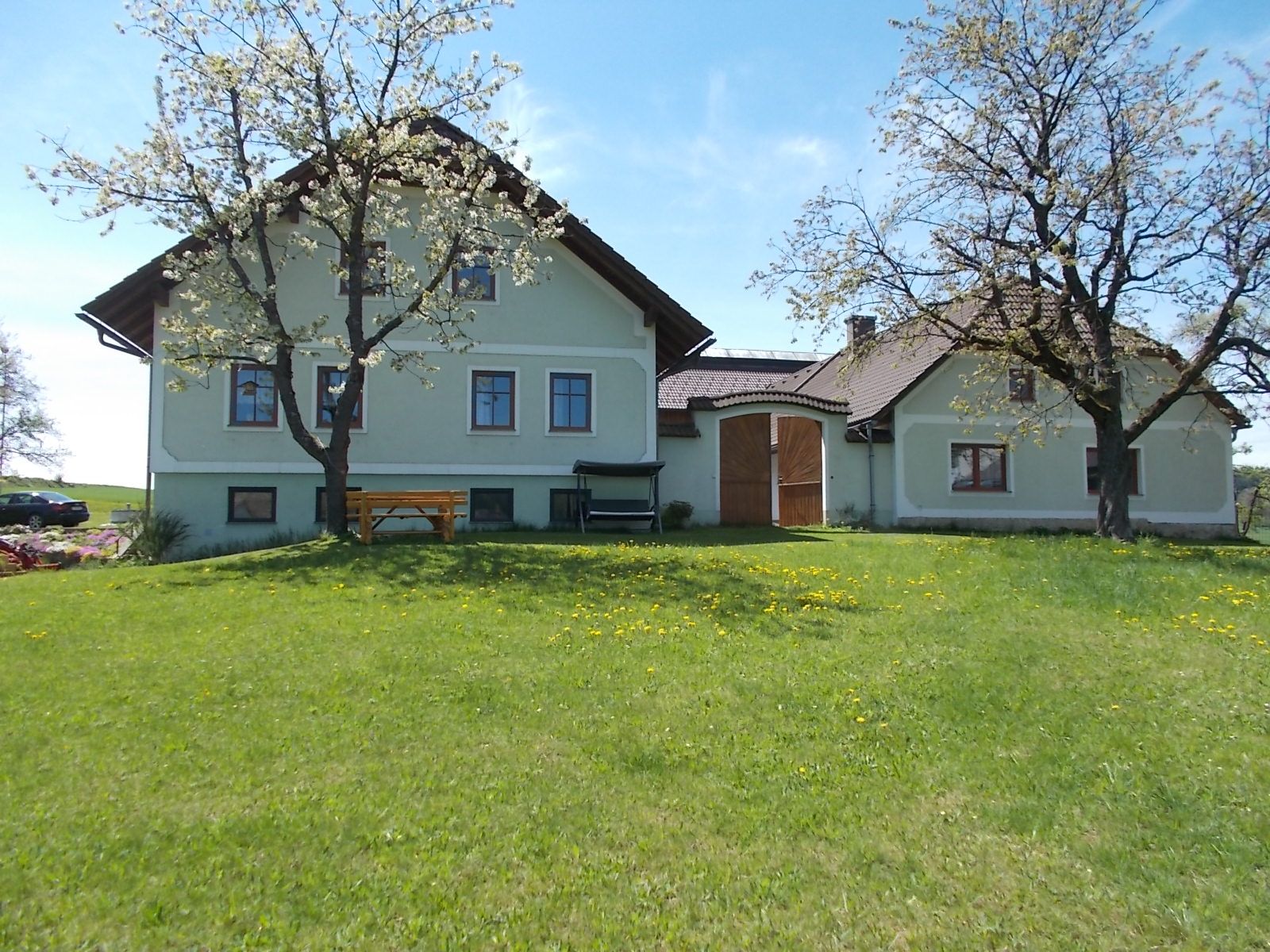 House with cherry trees