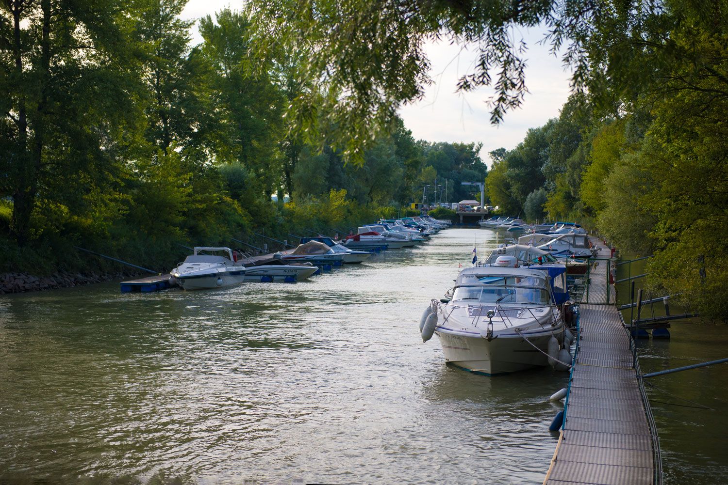 Boats on a jetty in a wooded canal.