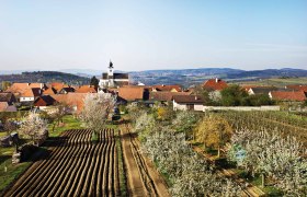 Rural scene with church, blossoming trees and fields in Stratzing.