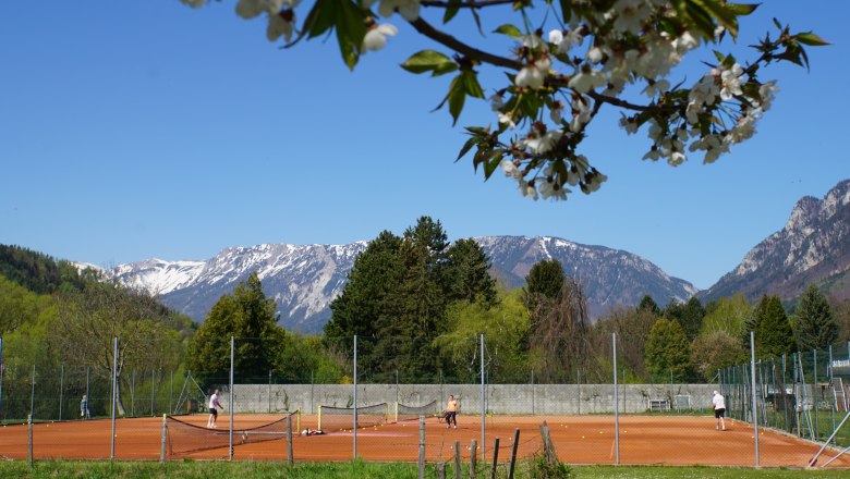 Tennis court with players against a mountain backdrop and blossoming trees in the foreground.