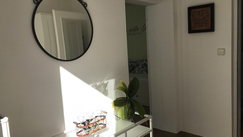 Interior view of a vacation apartment with mirror, plant and wall decoration.
