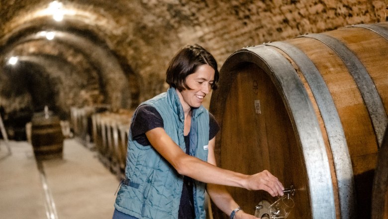 A person in a winery draws wine from a large wooden barrel.