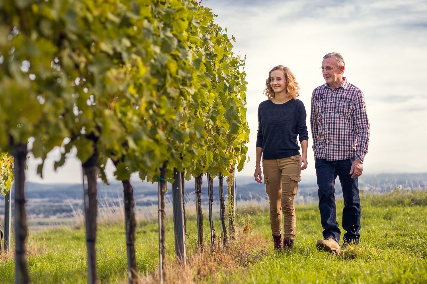 Two people walking through a vineyard in sunny weather.