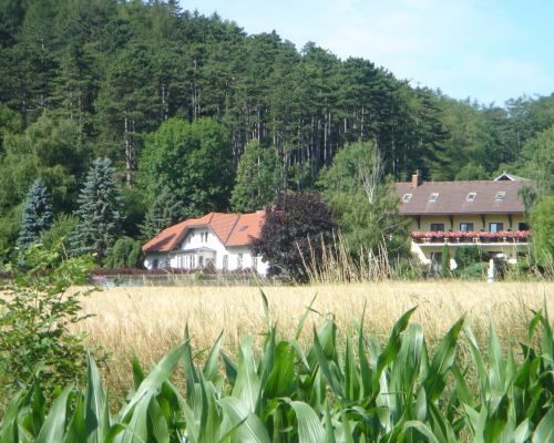 Our farm