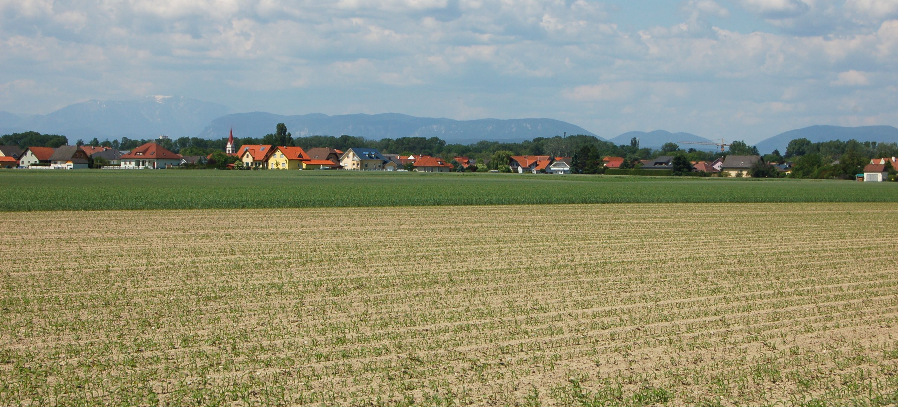 Landscape with fields and village in the background, mountains on the horizon.
