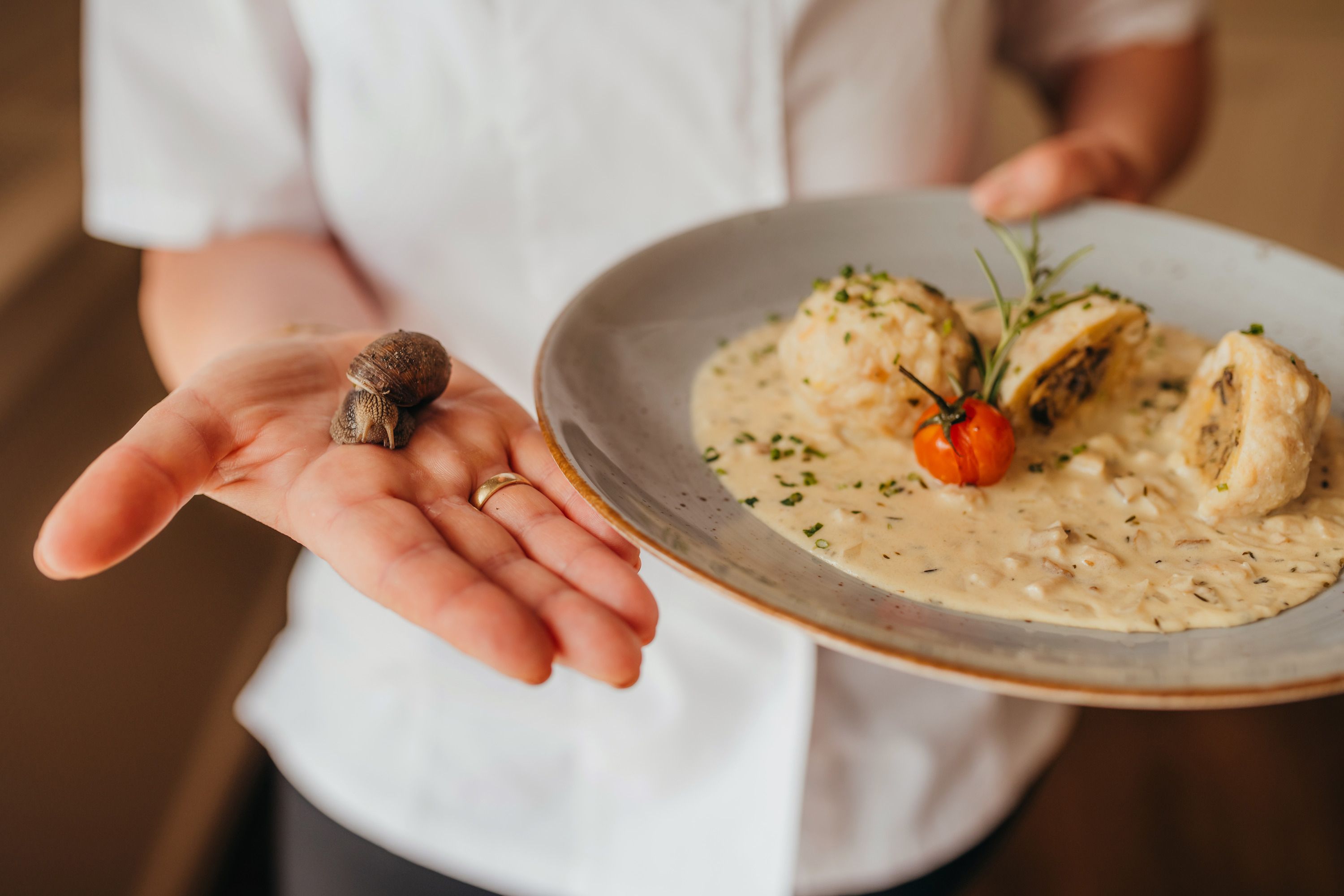 One person is holding a vineyard snail and a plate of dumplings in cream sauce.