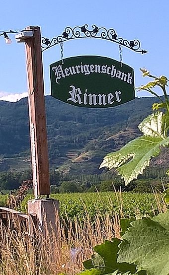Wine tavern Rinner