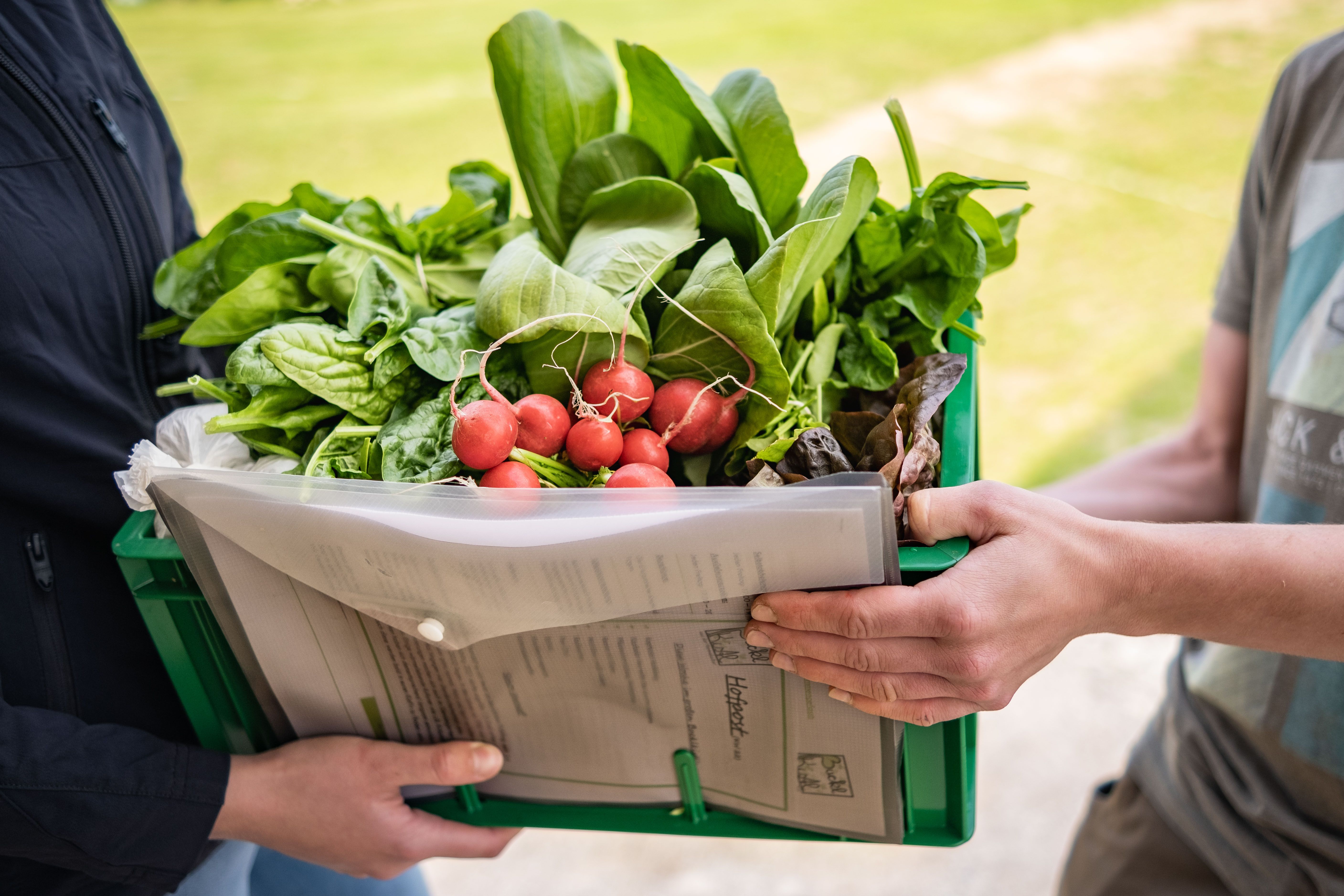 Two people are holding a green box with fresh vegetables such as radishes and lettuce.