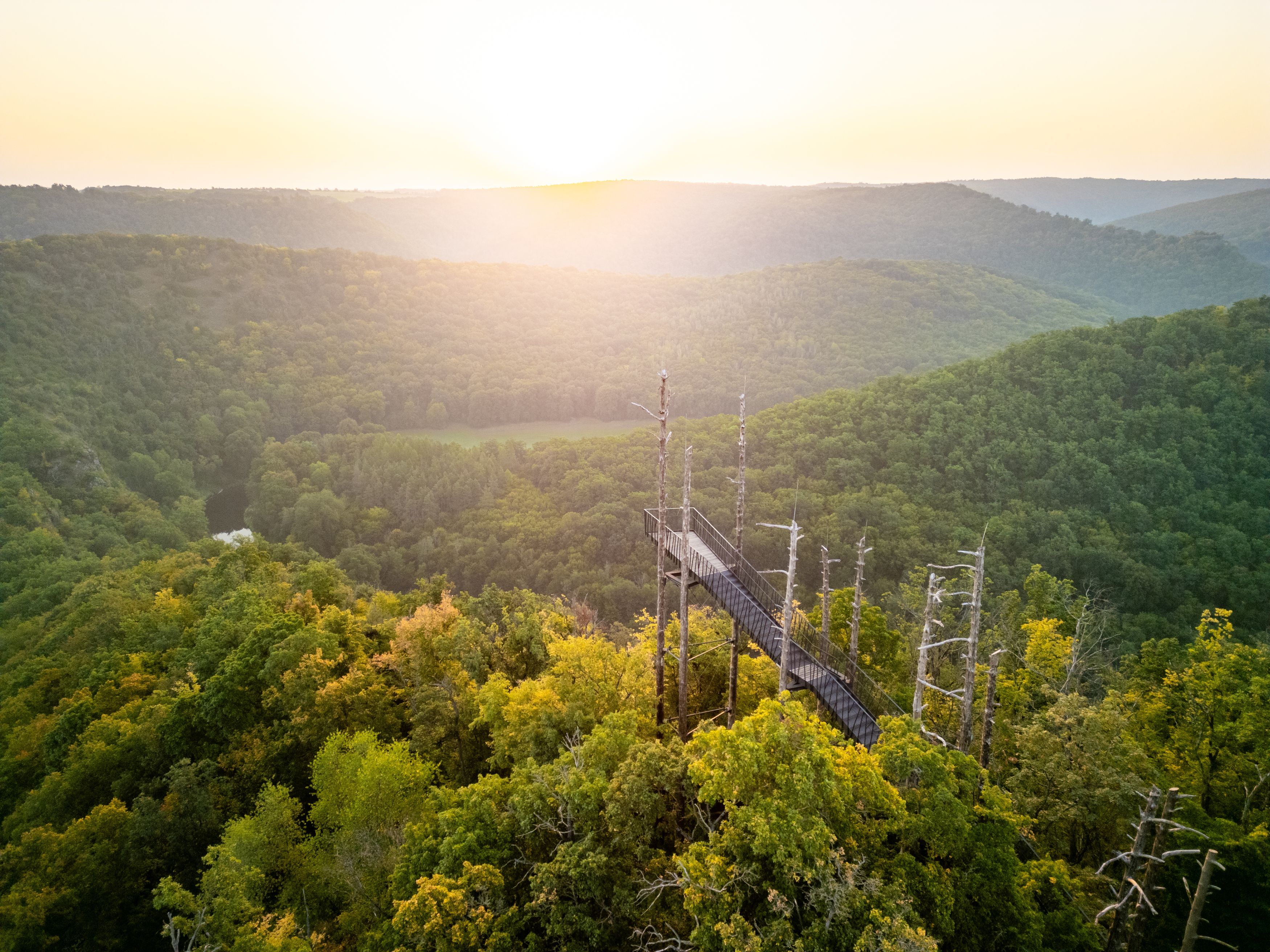 Viewing platform in the forest with sunset in the background.