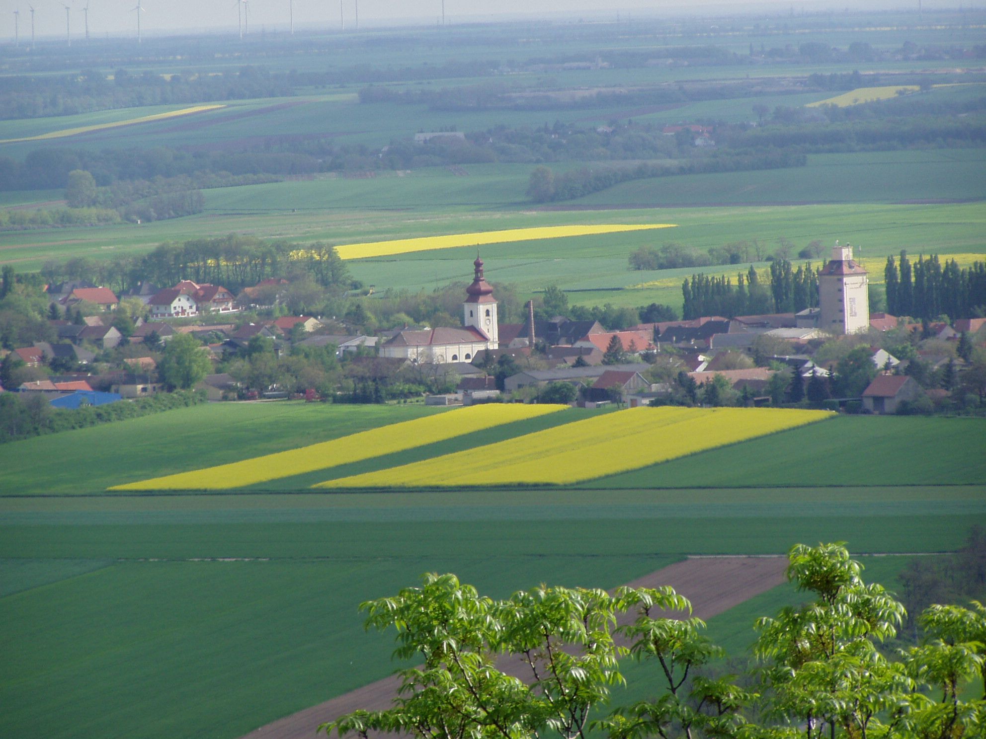 Landscape with village, church and fields in Prellenkirchen.