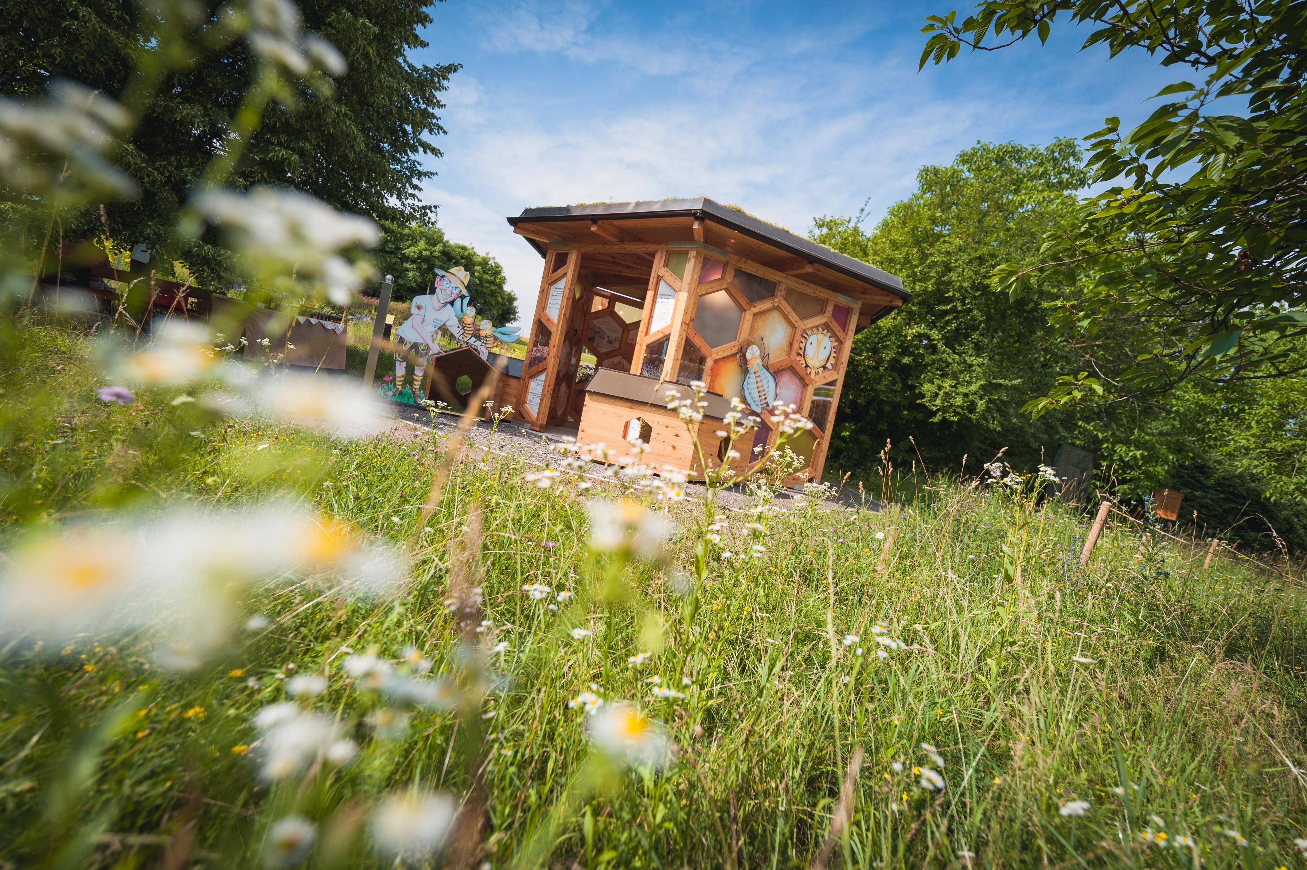A wooden bee pavilion stands in a flowering meadow, surrounded by trees and a blue sky.
