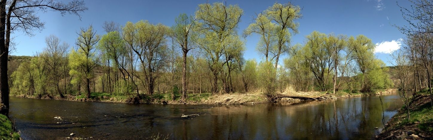 River nature trail