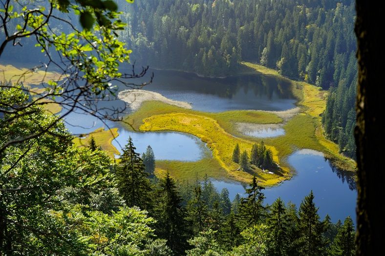 View of the Obersee