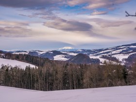 Winterwandern am Weg der Blicke Bad Sch&ouml;nau, &copy; Wiener Alpen in Nieder&ouml;sterreich