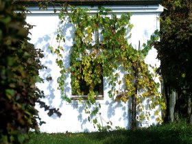 Kellergasse Absdorf, &copy; Donau Nieder&ouml;sterreich - Kamptal-Wagram-Tullner Donauraum