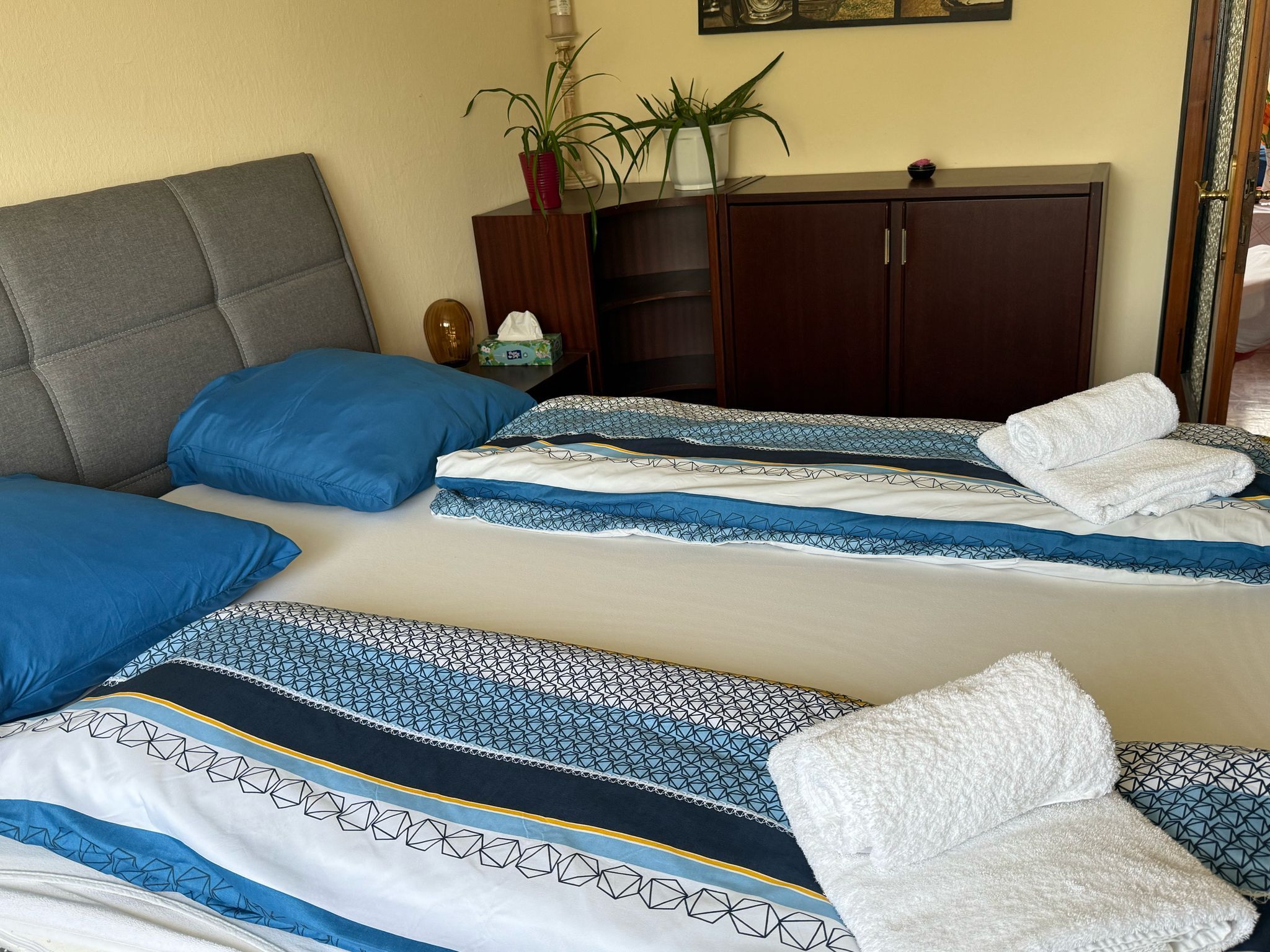 A cozy bedroom with a double bed, blue bed linen and folded towels. A wardrobe with plants in the background.