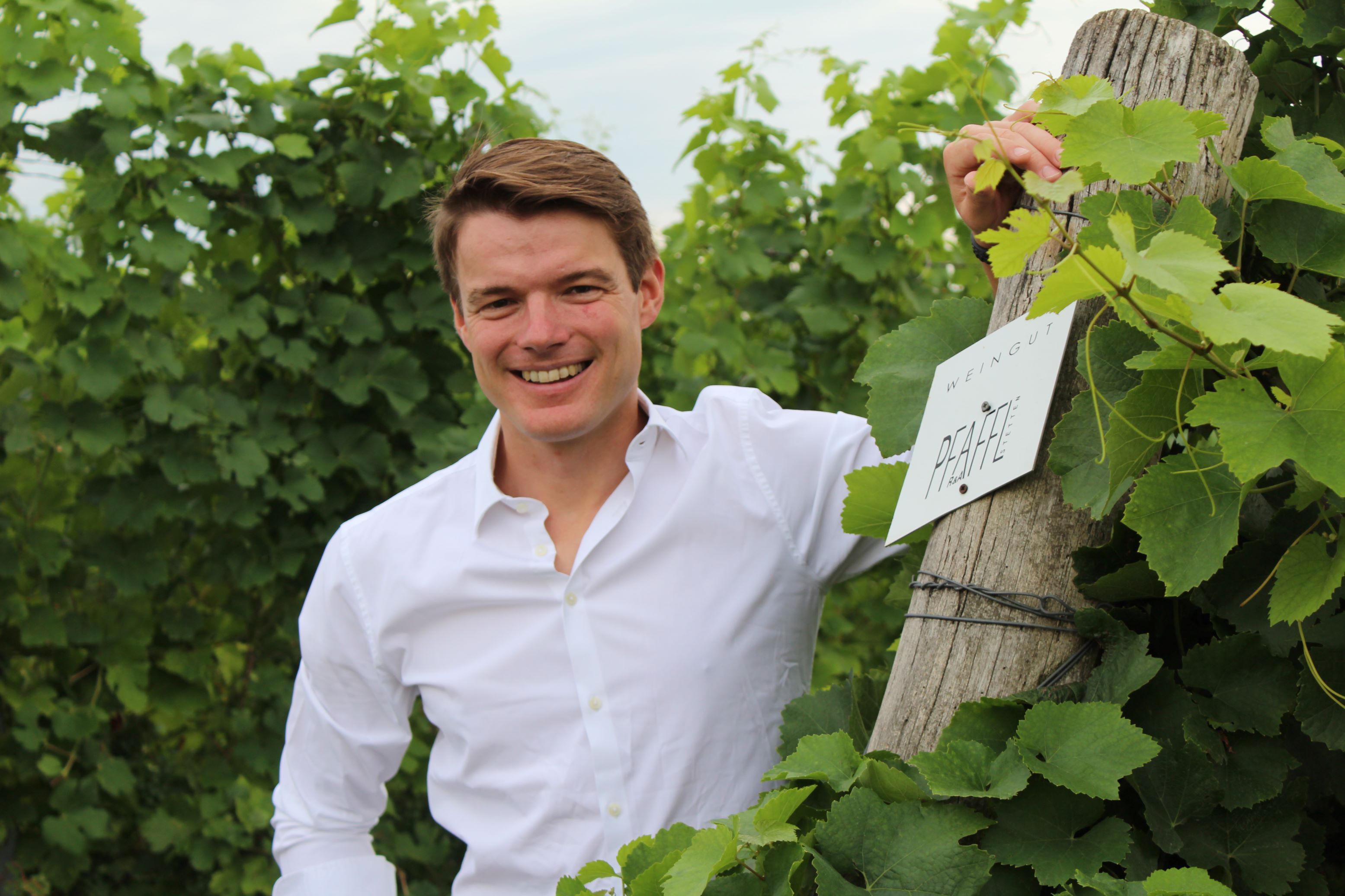 A man in a vineyard next to a sign with the inscription 'Weingut Pfaffl'.