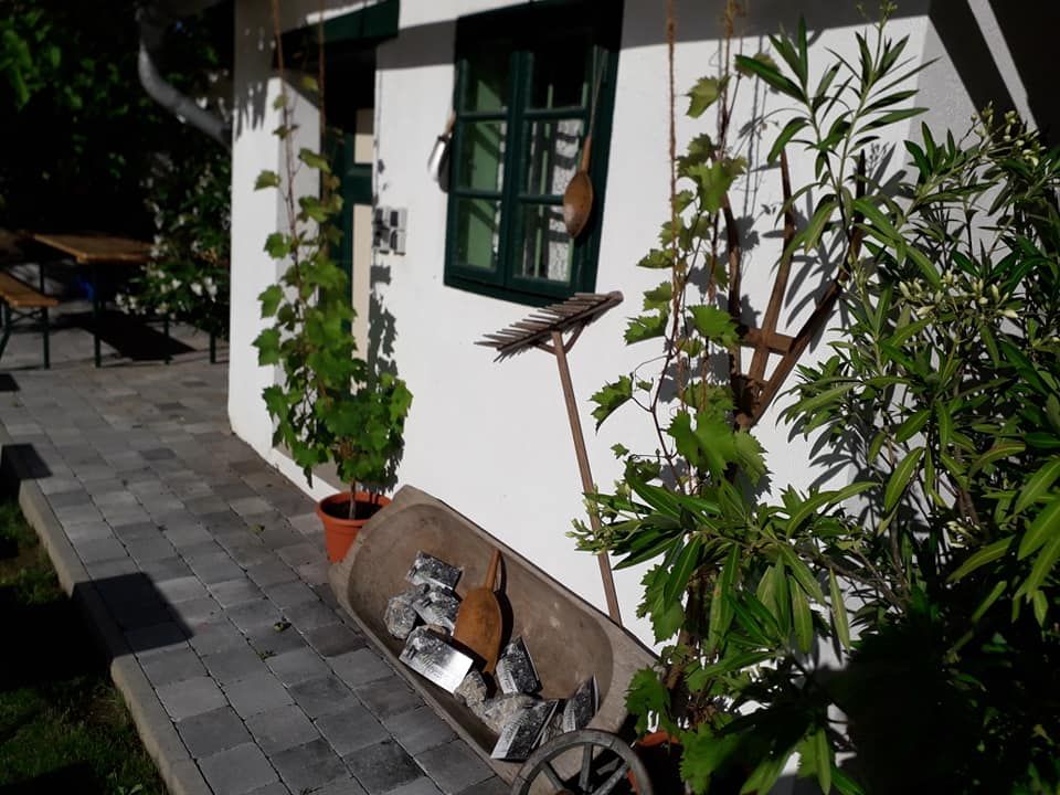 White building with green shutters, plants and garden tools on the wall.