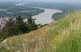 View of the Danube and surrounding landscape from Braunsberg.