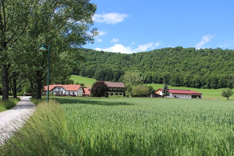 Our farm