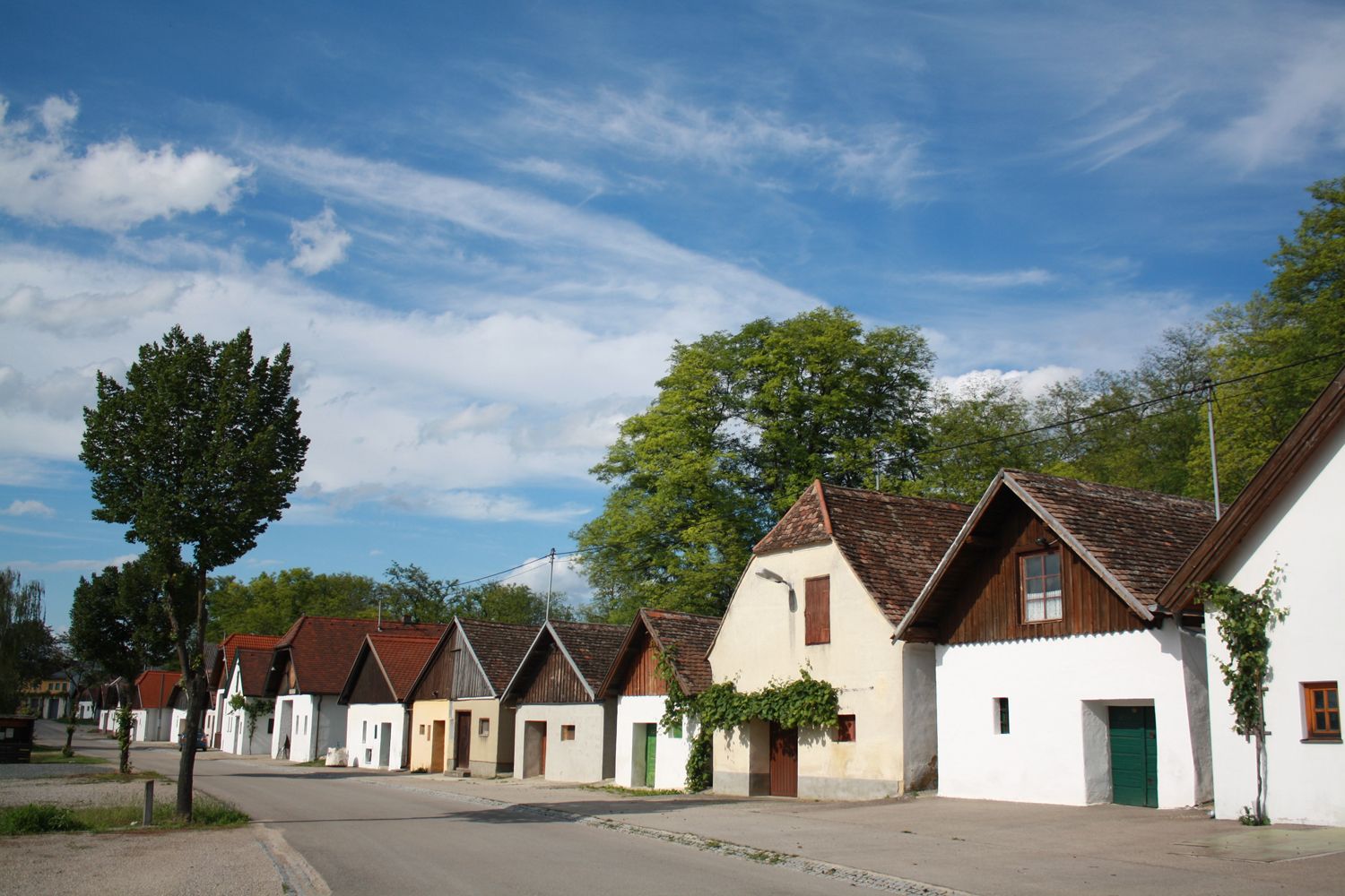 Row of traditional wine cellars in a wine cellar lane with a blue sky.
