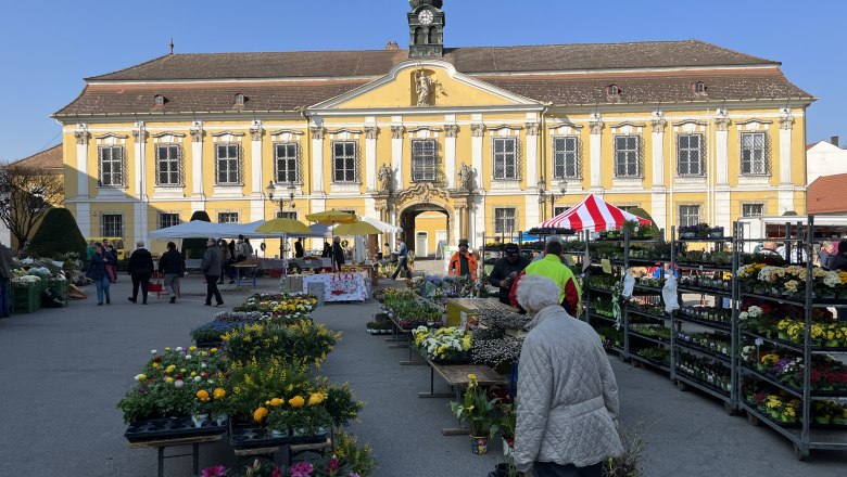 Weekly market in Stockerau with flower stalls in front of a yellow baroque building.