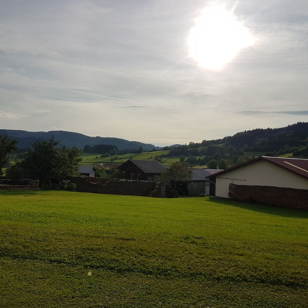 Village path