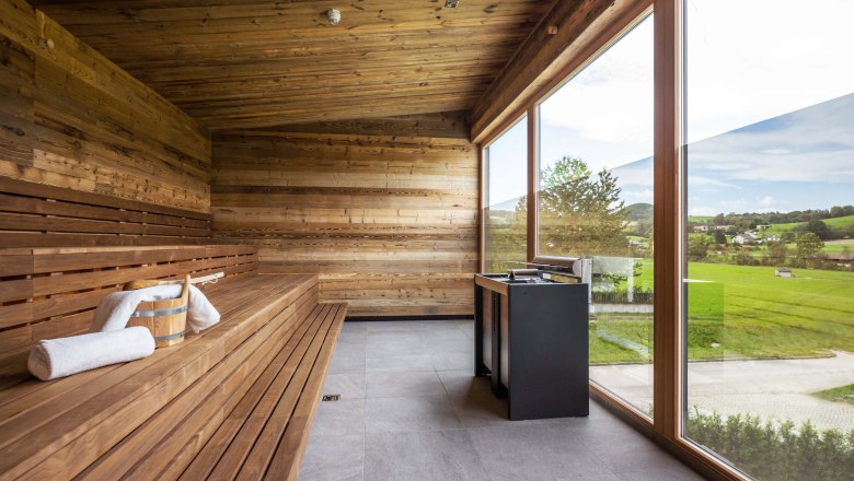 Modern sauna with wood paneling and large glass front with a view of the greenery.