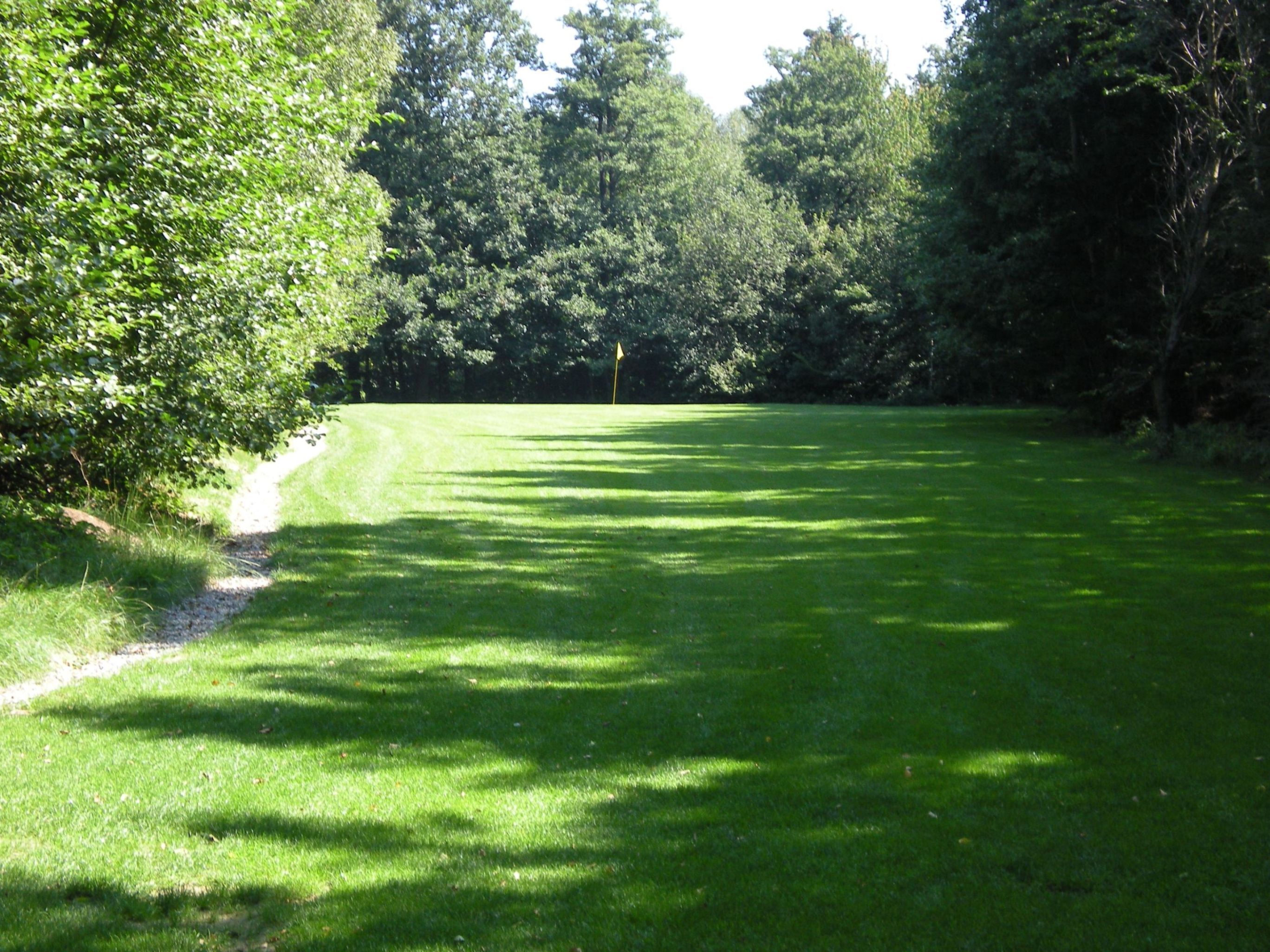 Green golf course with flag in the background, surrounded by trees.