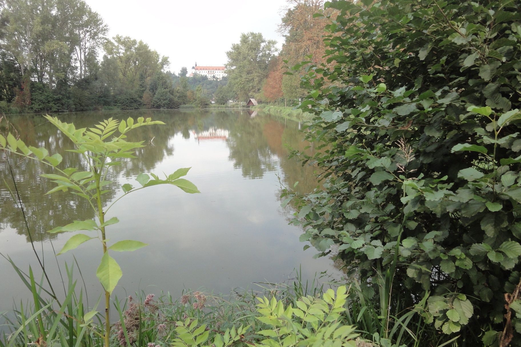 Biodiversity trail