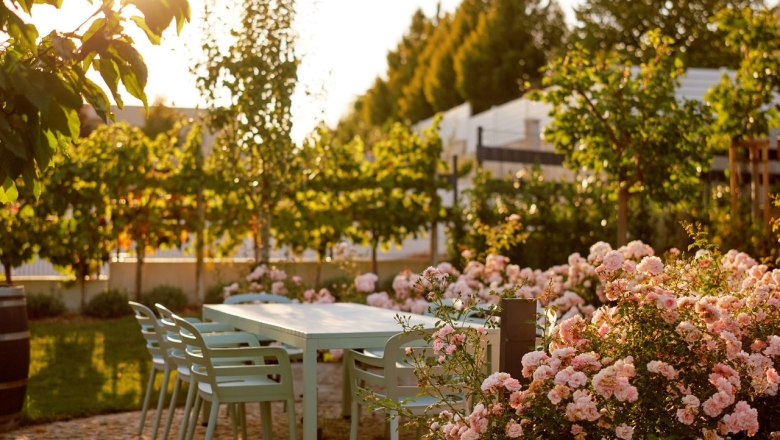 A garden with a table and chairs, surrounded by blooming roses and trees in the sunlight.