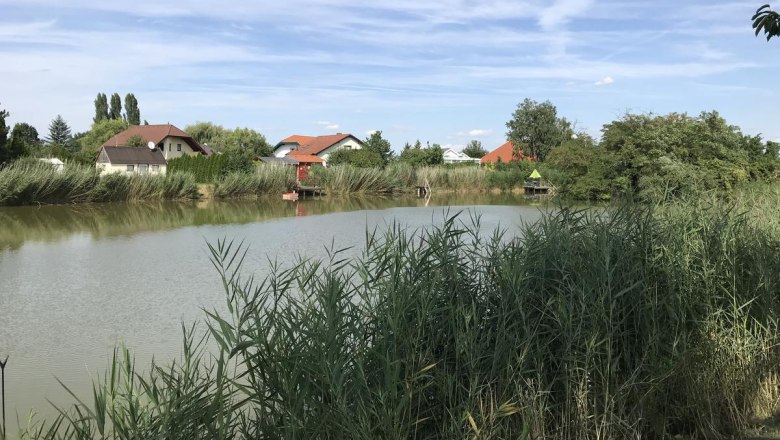 A calm lake with reeds in the foreground and houses in the background under a blue sky.