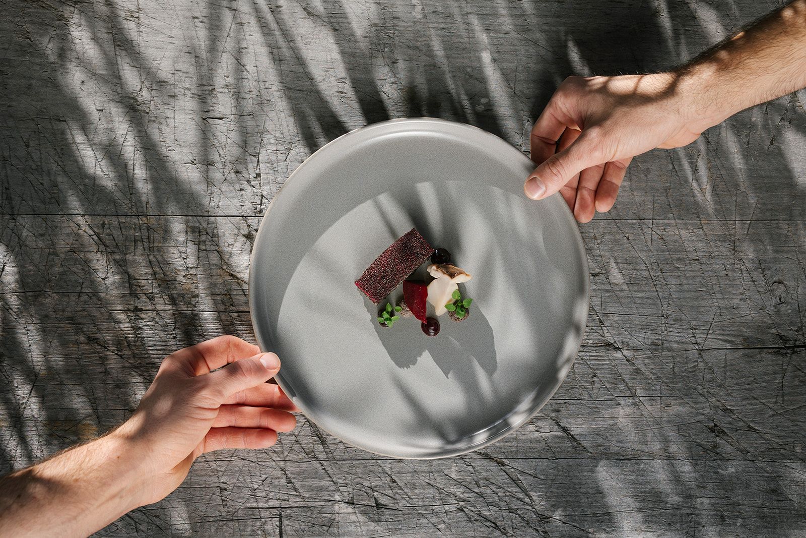 Two hands hold a plate with an artfully arranged gourmet dish above a wooden table.